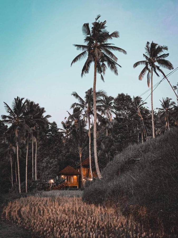 Uma D'Nyuh Homestay Singaraja Dış mekan fotoğraf