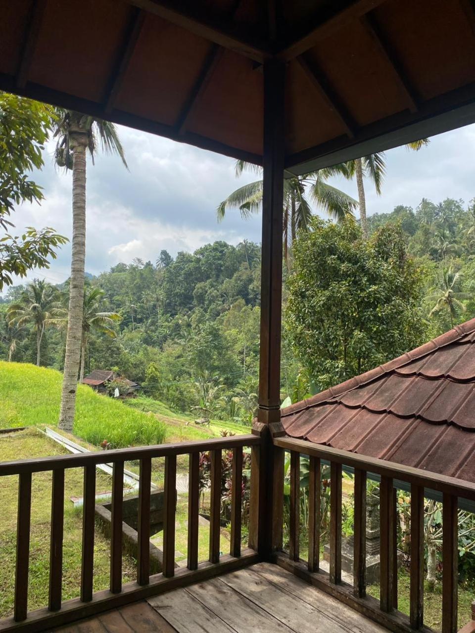 Uma D'Nyuh Homestay Singaraja Dış mekan fotoğraf