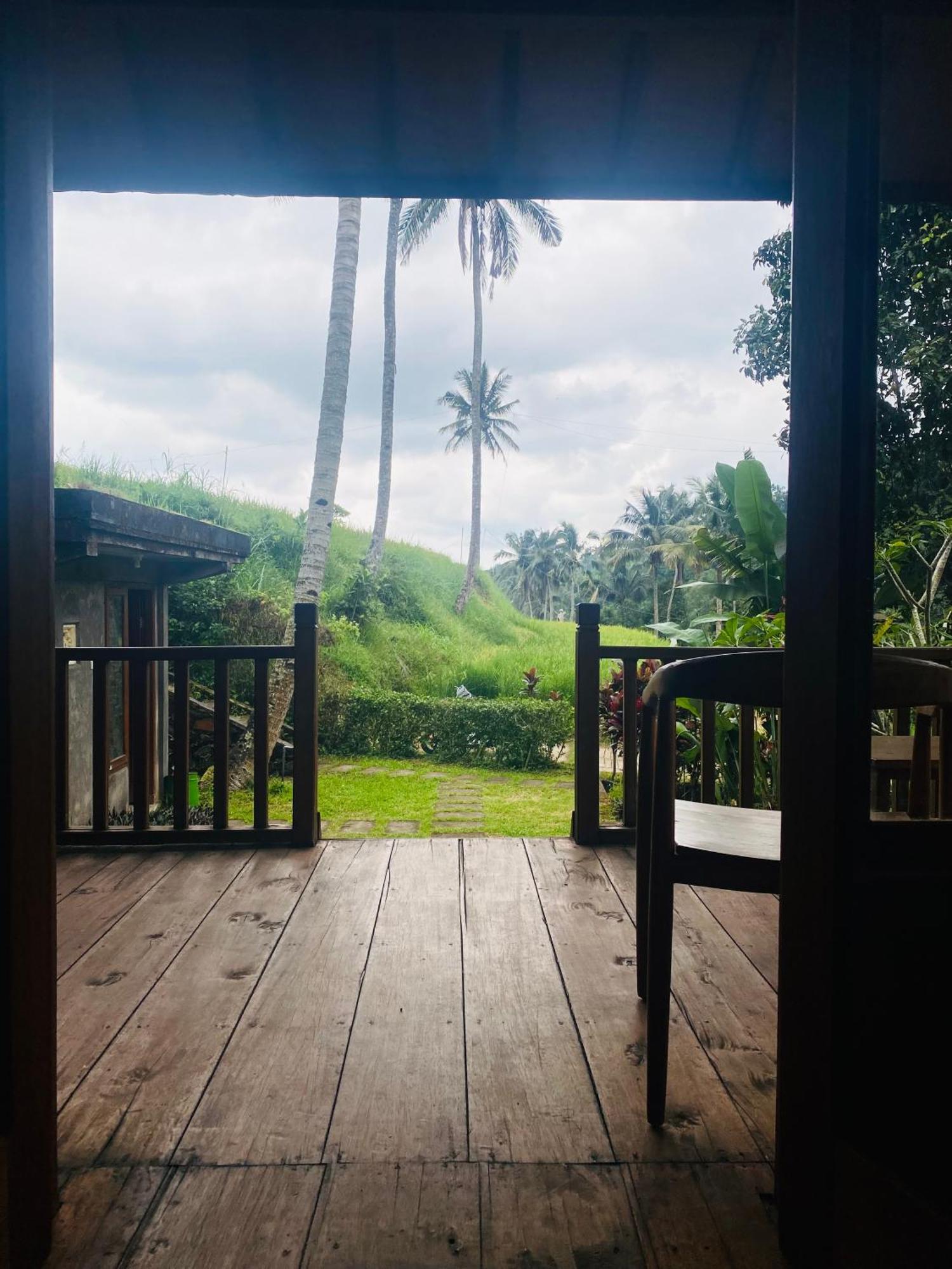 Uma D'Nyuh Homestay Singaraja Dış mekan fotoğraf
